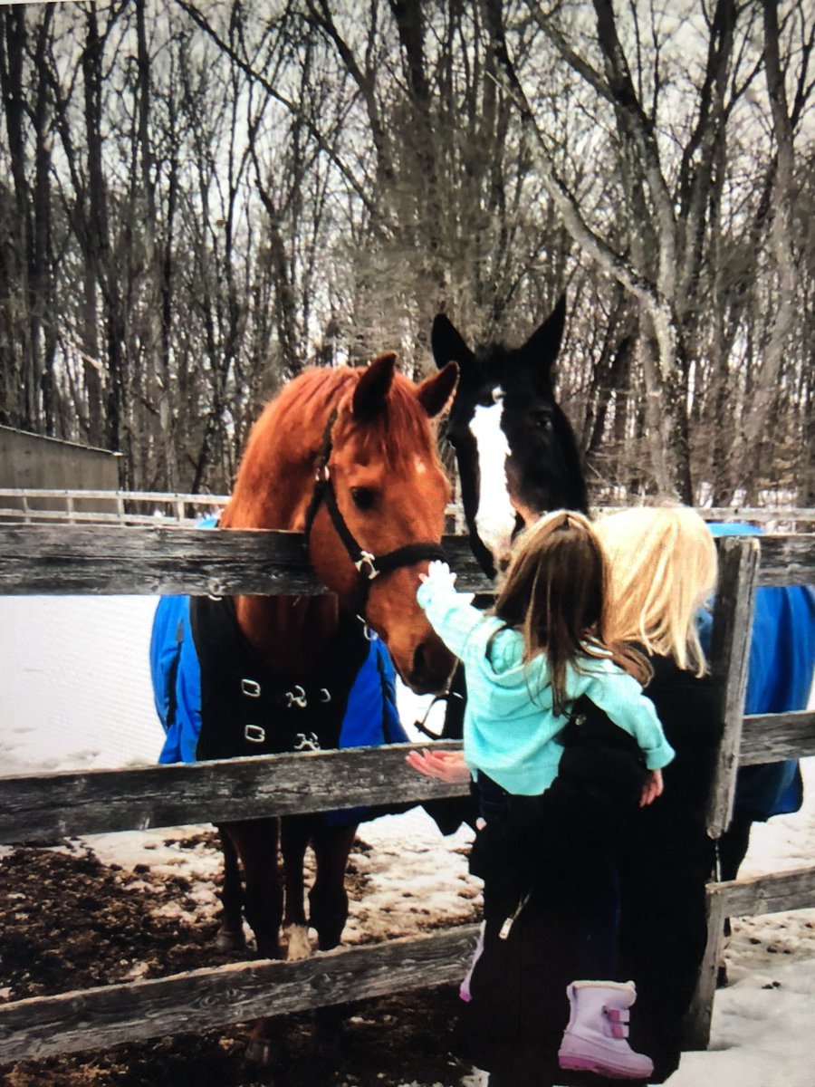 Racing Peeps: photo of my retired racehorses. SaxophoneLen. Raced till 5. Muster Up. Raced till 8. 17 years old now  on Private family run farm. Owner and granddaughter love them. My horses. My aftercare plan.