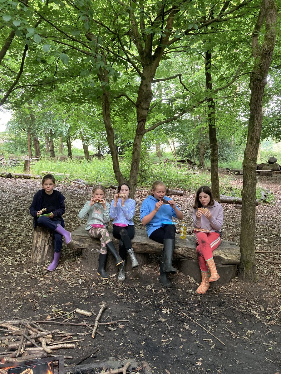 PipersForestSch's tweet image. Forest Club enjoyed foraging for raspberries to fill their tortilla wraps before frying them over the fire #pipersclubs #forestfun #pipersprep