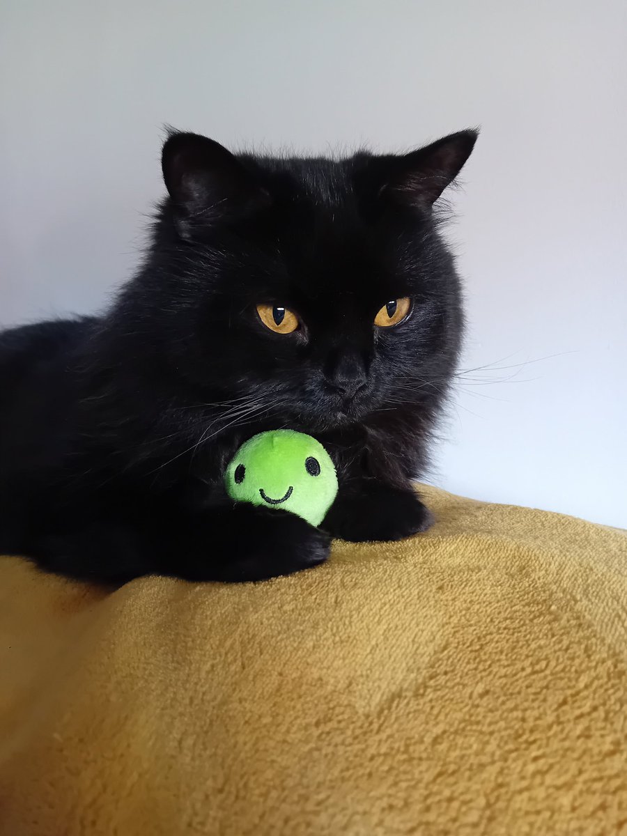 🎶You've got a friend in pea 🎶