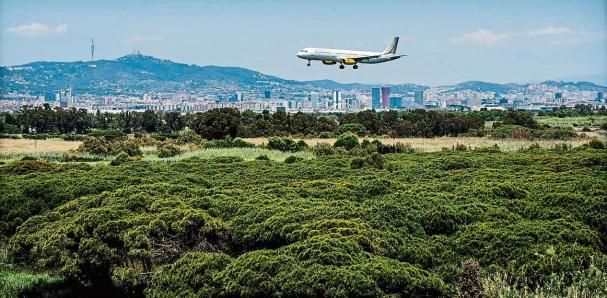 L'ampliació de l'aeroport de Barcelona destruiria la Ricarda, una zona protegida del Delta del Llobregat. Si és protegida, vol dir que no es pot tocar sota cap condició i. 🚫 🏞️
#SalvemLaRicarda #Barcelona