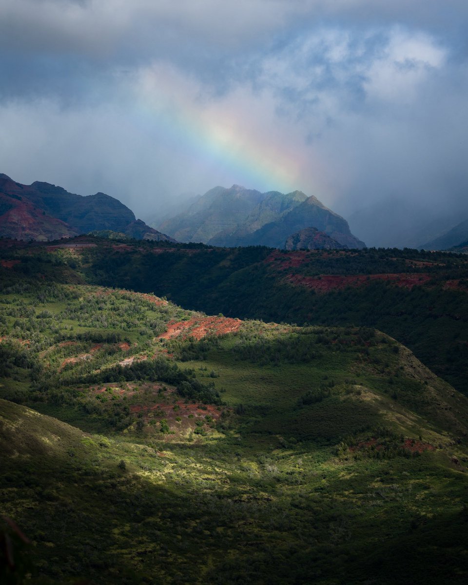 pgsilverX's tweet image. A pause to touch grass…
Tasmania, Hawaii, Bali, Tuscany
