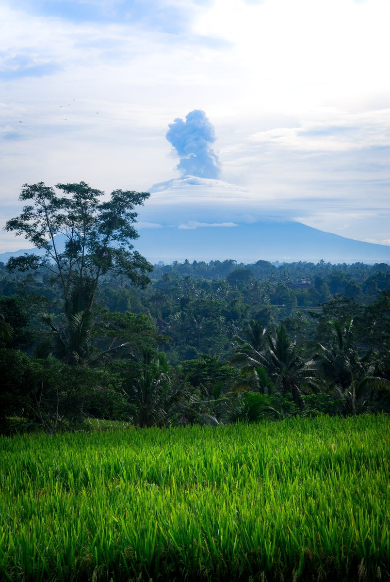 pgsilverX's tweet image. A pause to touch grass…
Tasmania, Hawaii, Bali, Tuscany