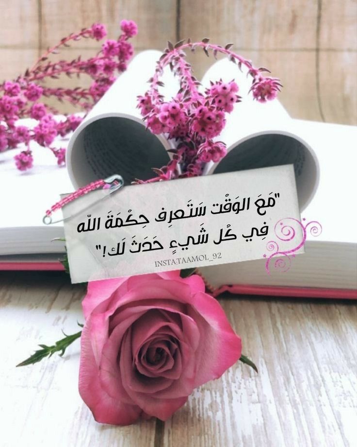 الحمدلله دائماً وأبداً🕊️🤍 #مساء_الخير_والسعاده