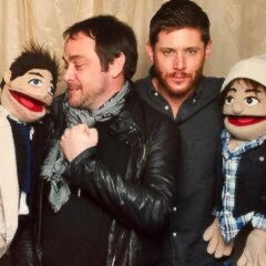 💭 (@comfortsheppard) on Twitter photo 