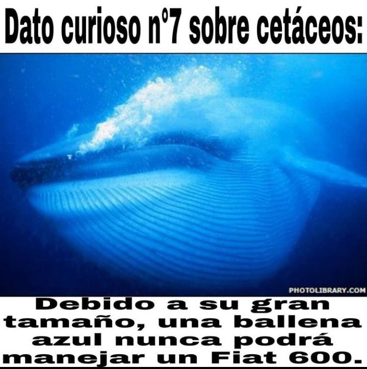 el cocas (@bautizita) on Twitter photo 