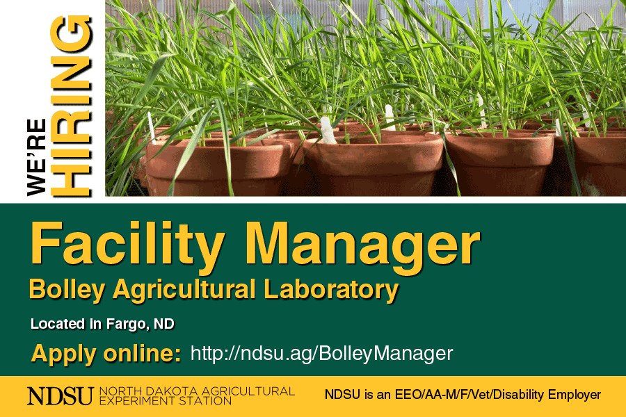 NDAgExpStation's tweet image. We're hiring for a Facility Manager for the NEW Bolley Agricultural Laboratory ndsu.ag/bolleymanager