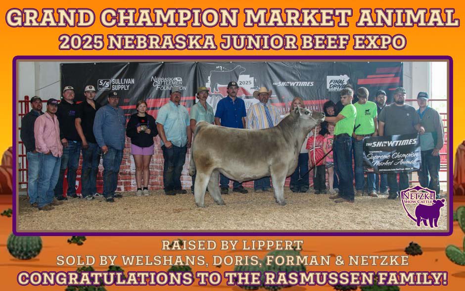 NetzkeCattle's tweet photo. Grand Champion Market Animal | 2025 Nebraska Junior Beef Expo
Raised by Lippert
Sold by Welshans, Doris, Forman and Netzke
Congratulations to the Rasmussen Family! https://t.co/5XXHWLWlQ7