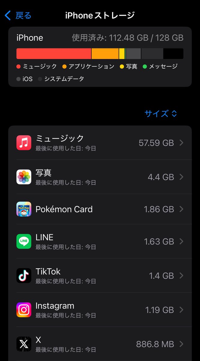 Rimu_kun_cold's tweet photo. iPhoneとiPadじゃストレージが違いすぎる https://t.co/sDo0UJSpTg