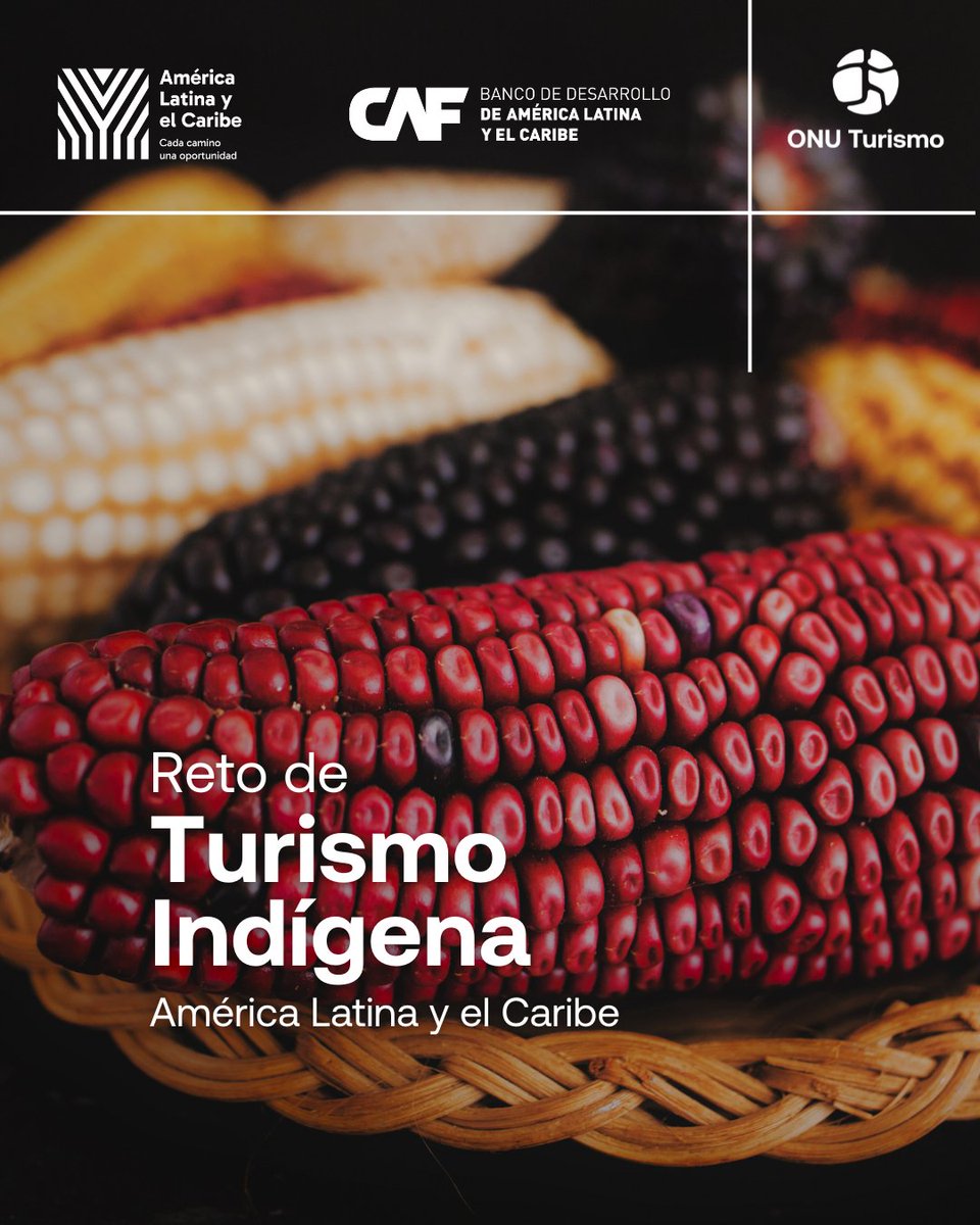 🚨 ¡Última semana para postularse al #RetoTurismoIndígena
Impulsa el turismo sostenible en América Latina y el Caribe junto a ONU Turismo y <a href="/AgendaCAF/">CAF</a>
Accede a mentorías, redes globales y haz visible tu proyecto.
🗓️ Hasta el 15 de junio
👉 f.mtr.cool/qykqmivztm