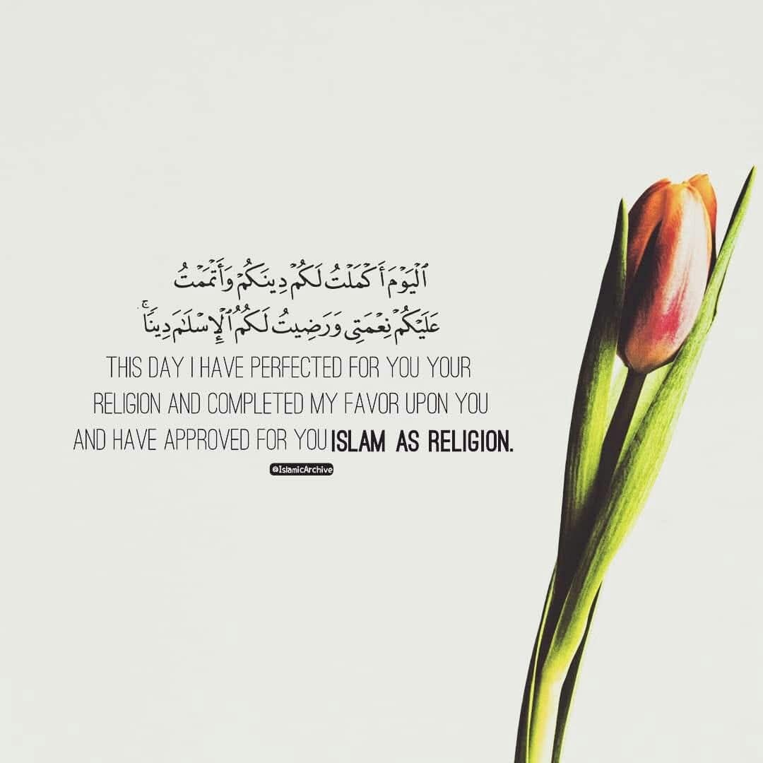 AbdulkaderMB's tweet image. When Allah Himself says that He has perfected our religion and completed His favor upon us, we do not need to find solace in any other ideology. The solutions to all our problems lie within Islam. We only need to become better Muslims.