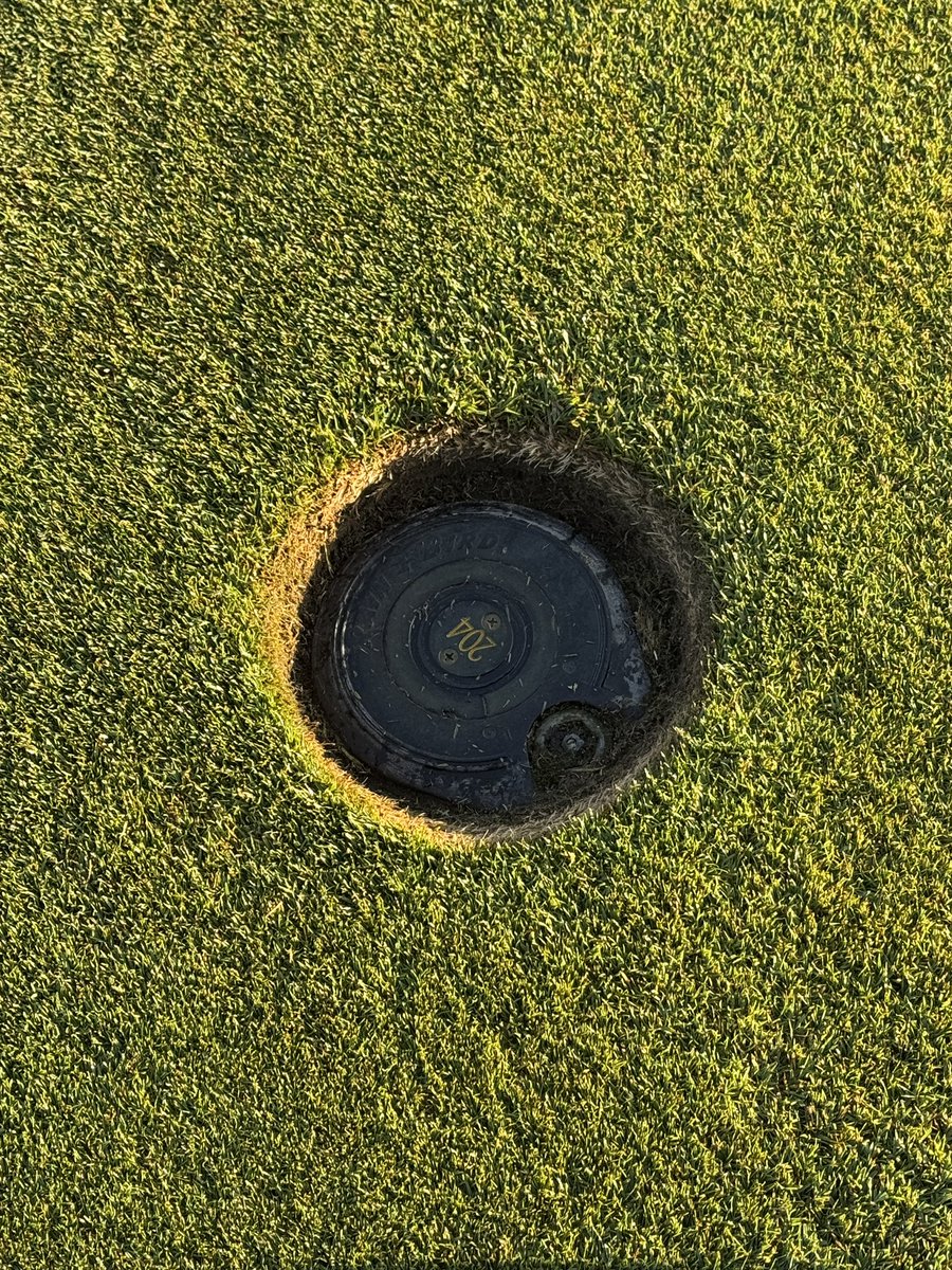 Sean Reehoorn tweet media