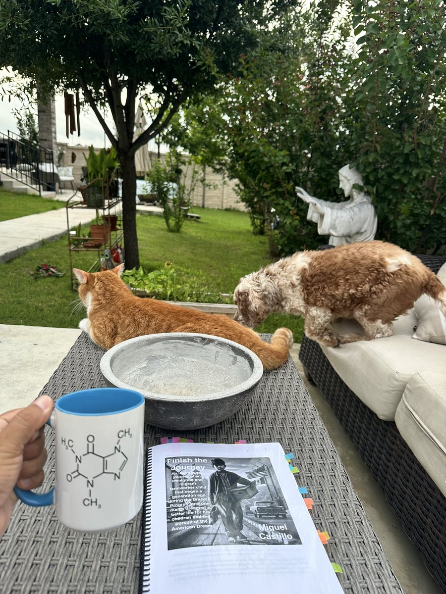 miguelmigrant's tweet image. 2nd edit ✍️ and book coming out soon. I had company this morning 🐶 🐈. A inspiration journey of resilience, motivation y chingos de ganas. #FinishtheJourney #migranteducation #migranted #inspire #InspireGreatness #KeynoteSpeaker #sisepuede