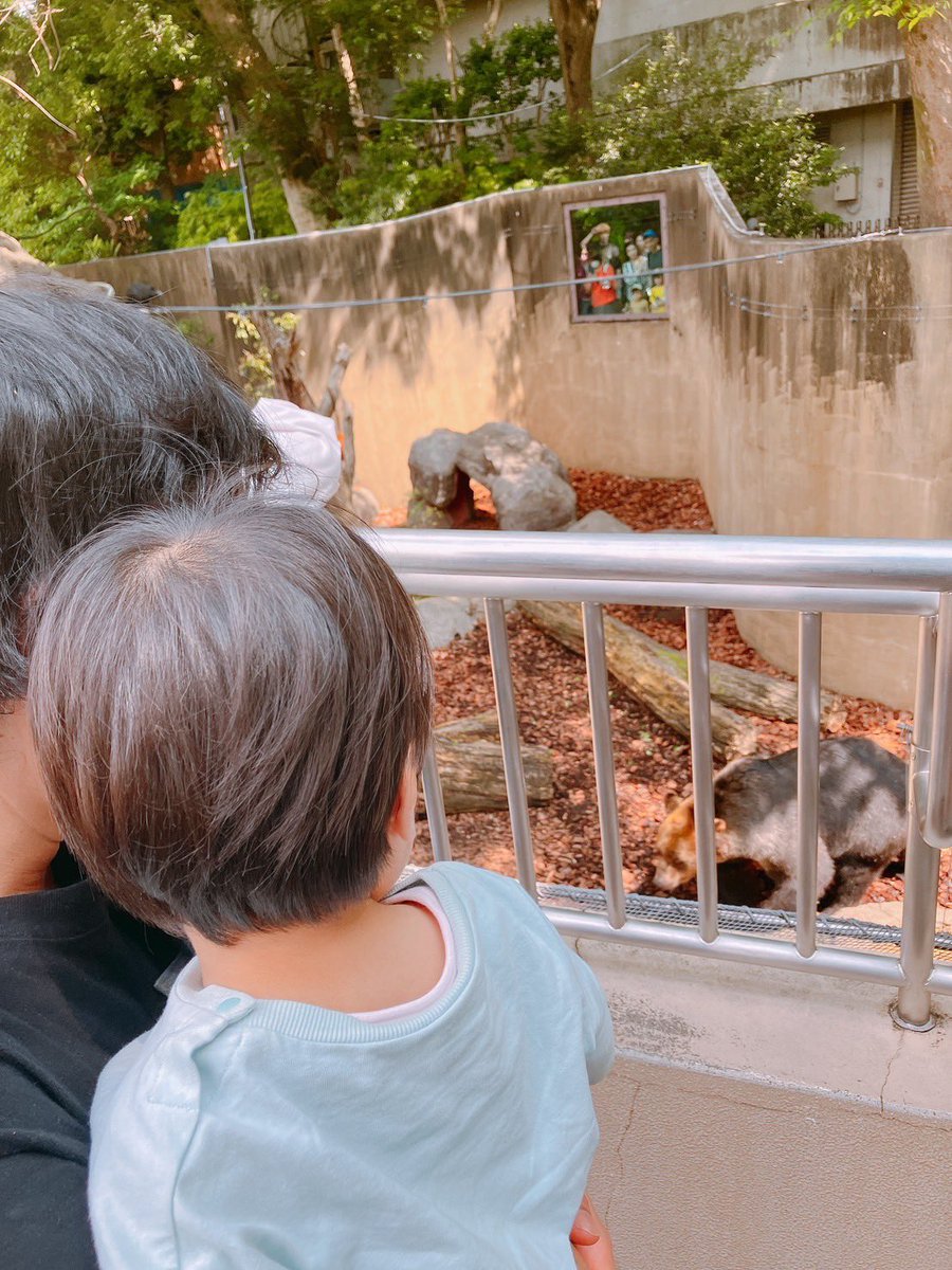 上野動物園に行ってきました。動物にはあんまり興味がないようです。
