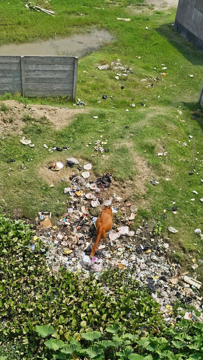 ashdeep111's tweet photo. @Bhabesh_KalitaR 
Please do the needful MLA Saab!

Station Road, Rangia. No public waste disposal anywhere around. https://t.co/b2EkgqxLII