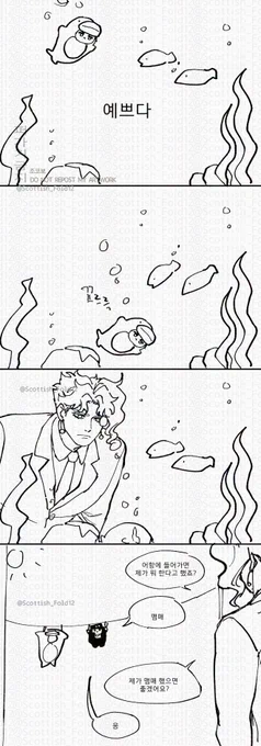 상어깅 