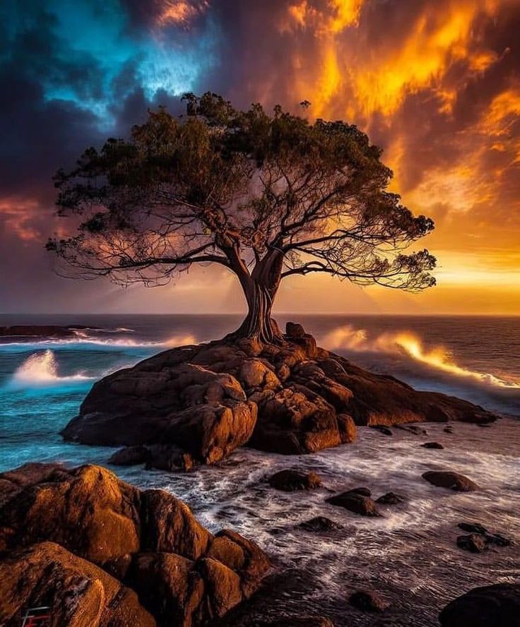 STORYTIME
“The Fifth Day” 

The first night was silence.
The kind that echoes louder than screams, where even the rustle of leaves feels like thunder beneath trembling hands. Ava, seventeen, stood barefoot at the edge of the woods, the hem of her sundress torn by thorns and