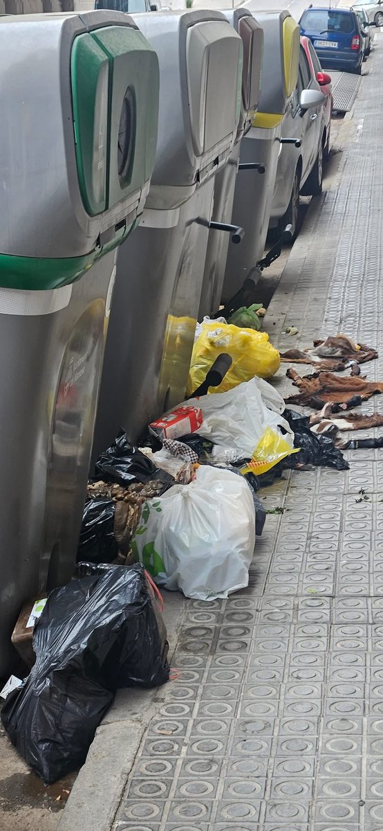 Restes d'animals morts a les voreres de Manresa.

Tothom sap que han set degollats dins de banyeres particulars i encarats a la Meca.

Però el problema del país és l'Orriols ...

Quan obrireu els ulls i votareu Aliança Catalana?

#SalvemCatalunya