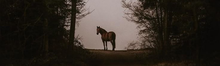 “ikna edilmişlerle yola çıkılmaz.
yola inanmışlarla çıkılır.”