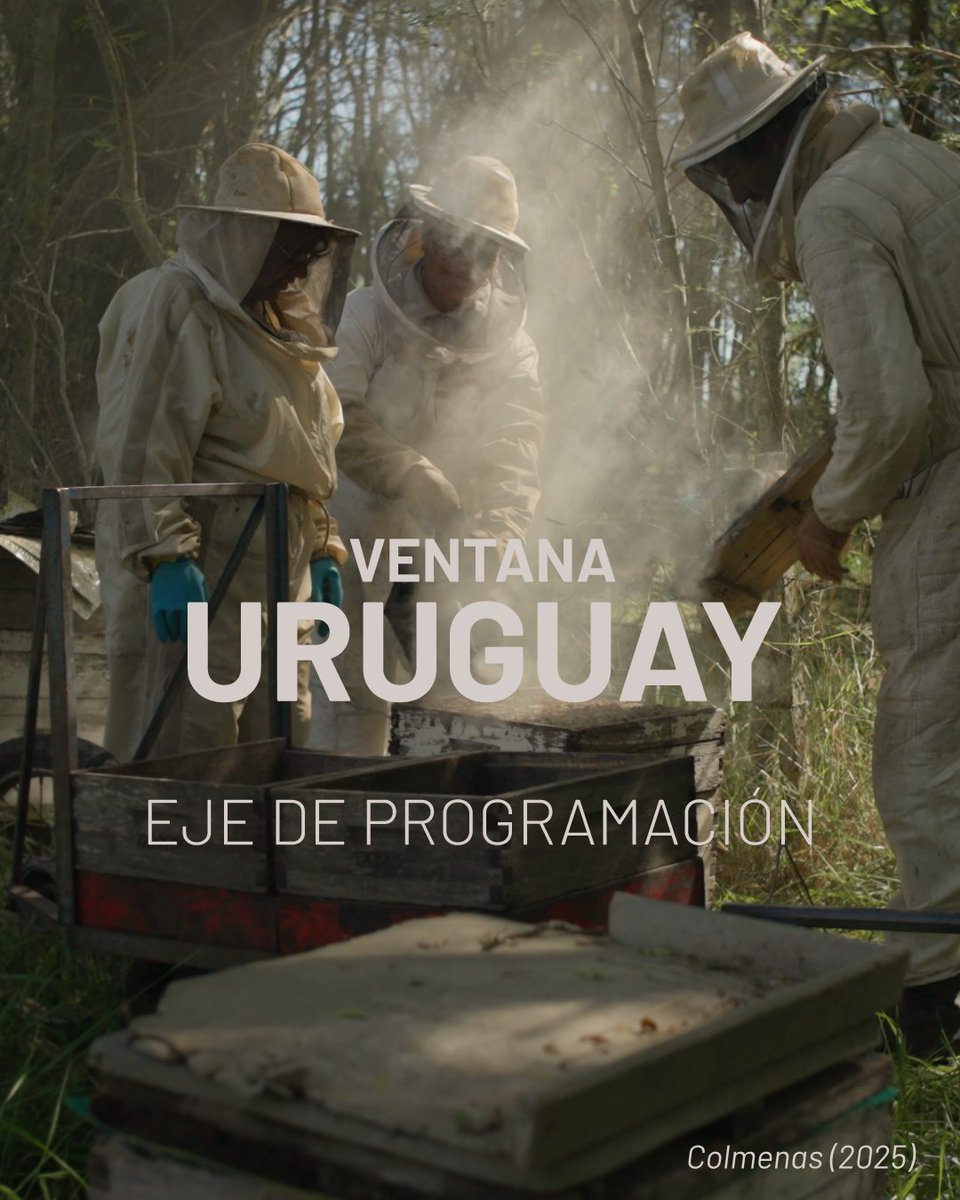 👁️ Ejes de programación: Ventana Uruguay 👁️
.
🔖 tenemosquever.org.uy/category/13-fe…
.
13° Tenemos Que Ver👁️
📅 10 al 17 de junio
📍 tenemosquever.org.uy
ENTRADA LIBRE

#TQV #13TQV #DDHH #Cine #Uruguay