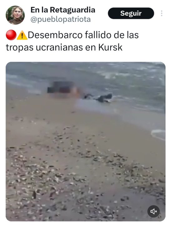 Pro-rusos🐷🇷🇺 out of context tweet media