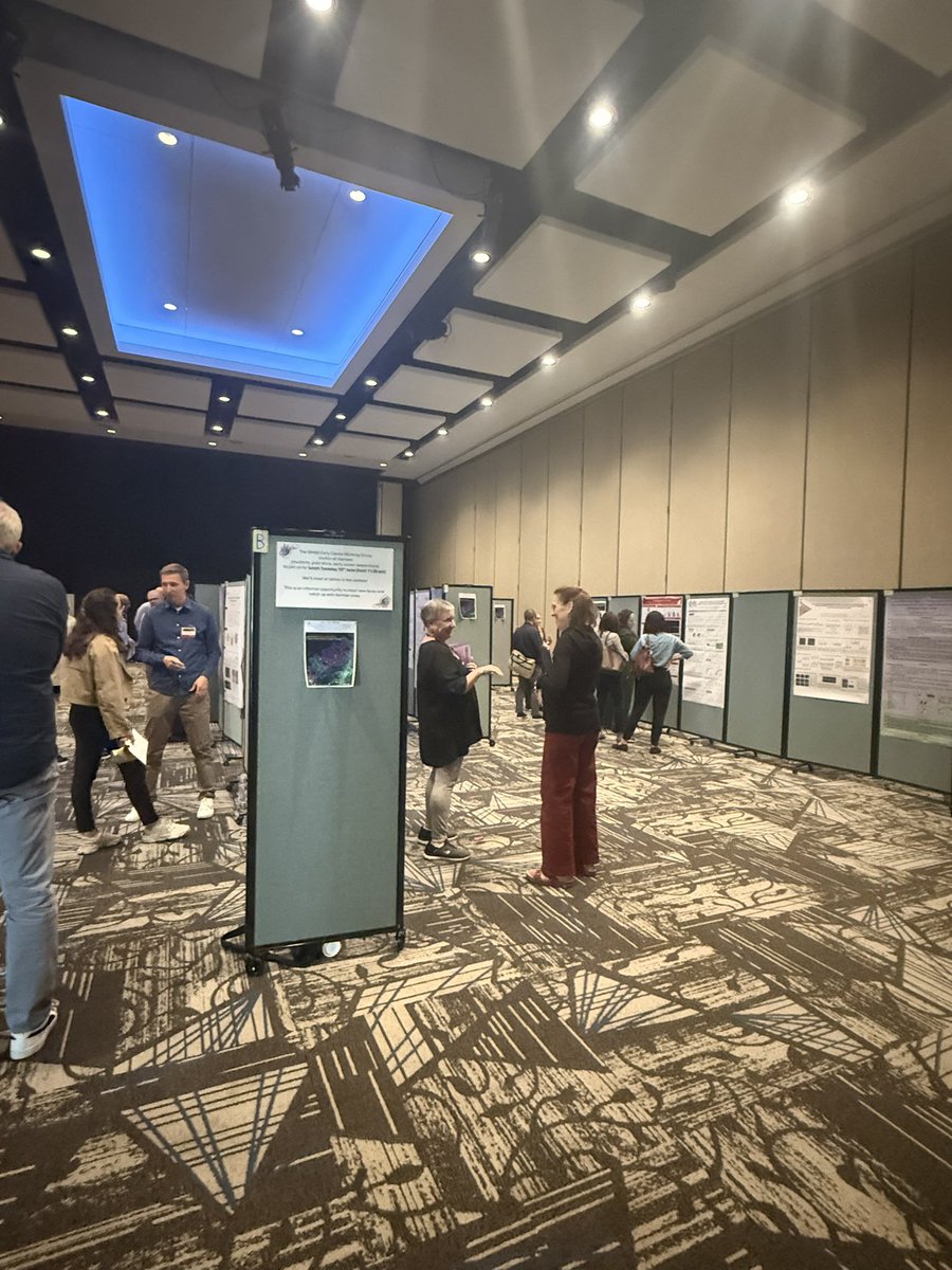 ISHAS_org's tweet image. A very active poster session where scientists talk about their favourite subject - the science of HA