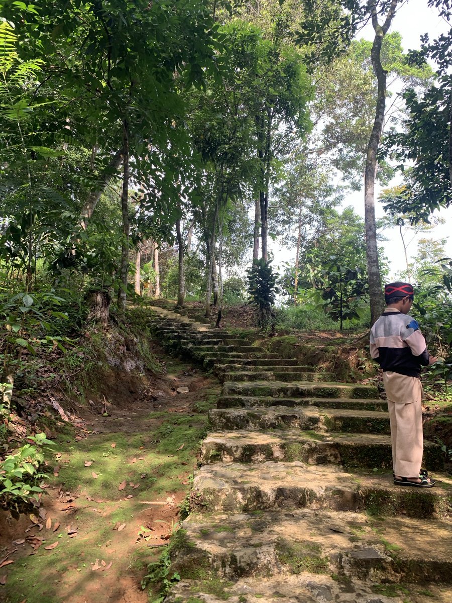 cl_eodash's tweet image. ☹️🌻