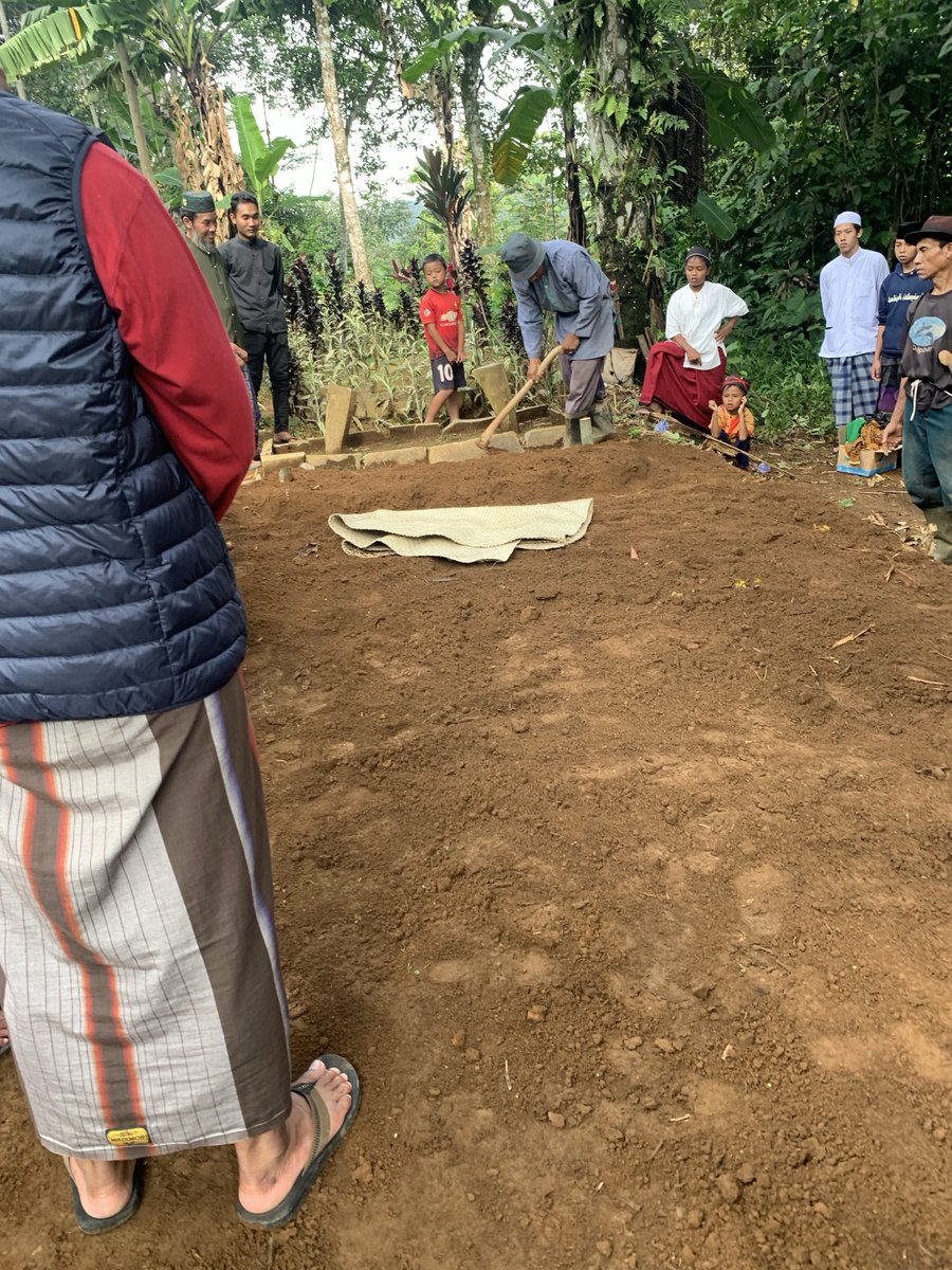 cl_eodash's tweet image. ☹️🌻