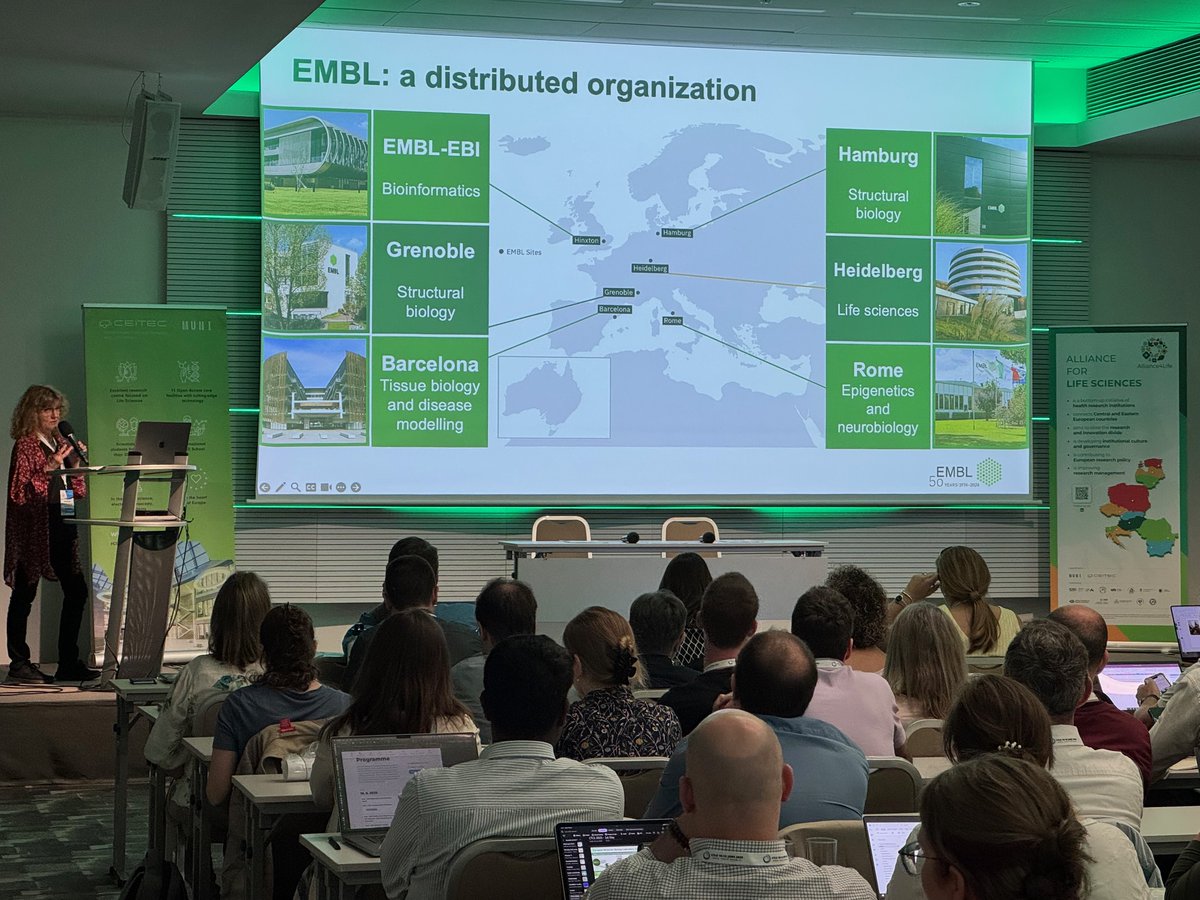 Stratocore tweet media