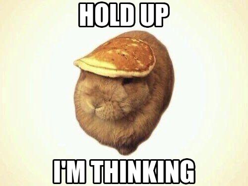 Riley :3 (bnuuy coded🐇) (@swarce_) on Twitter photo 