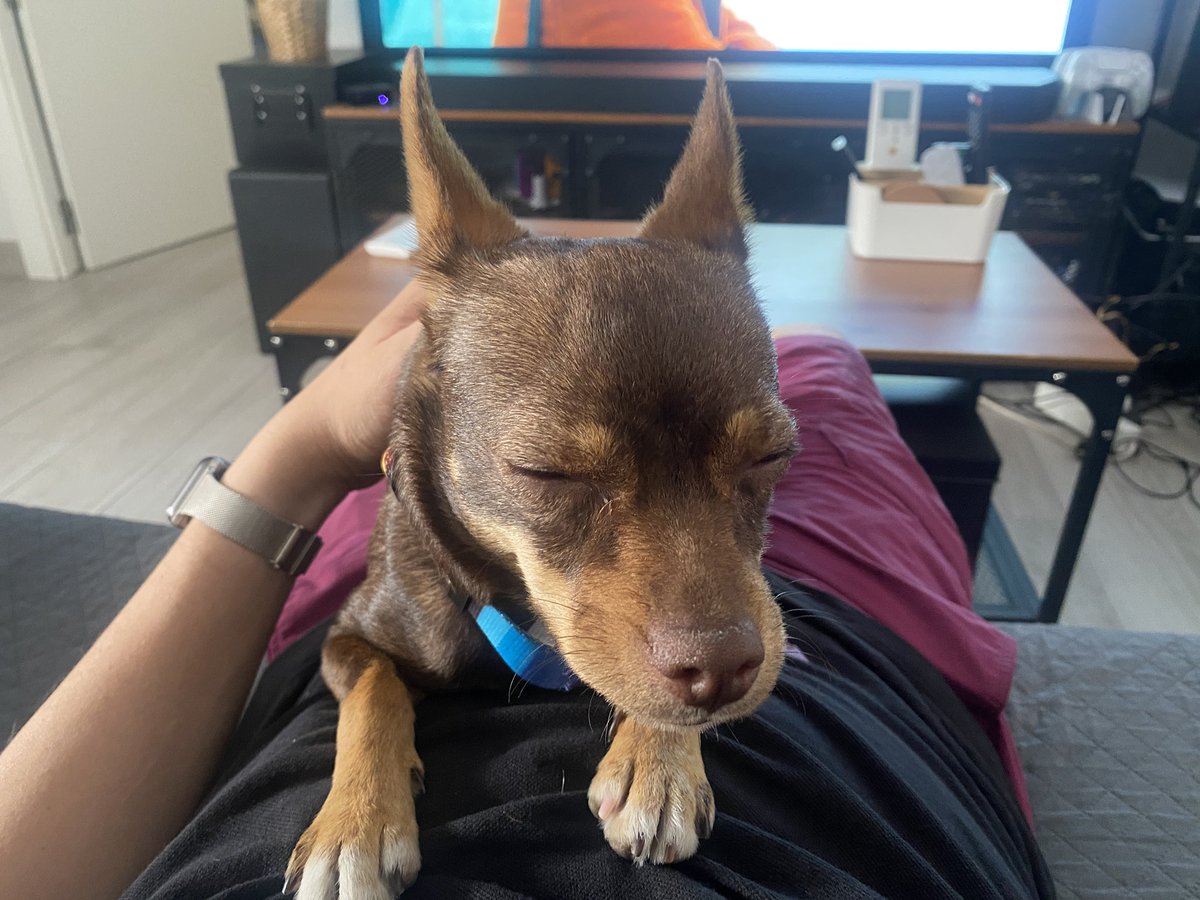 ¿Se puede ser más maja, cariñosa y bonita? No acepto respuestas afirmativas ♥️