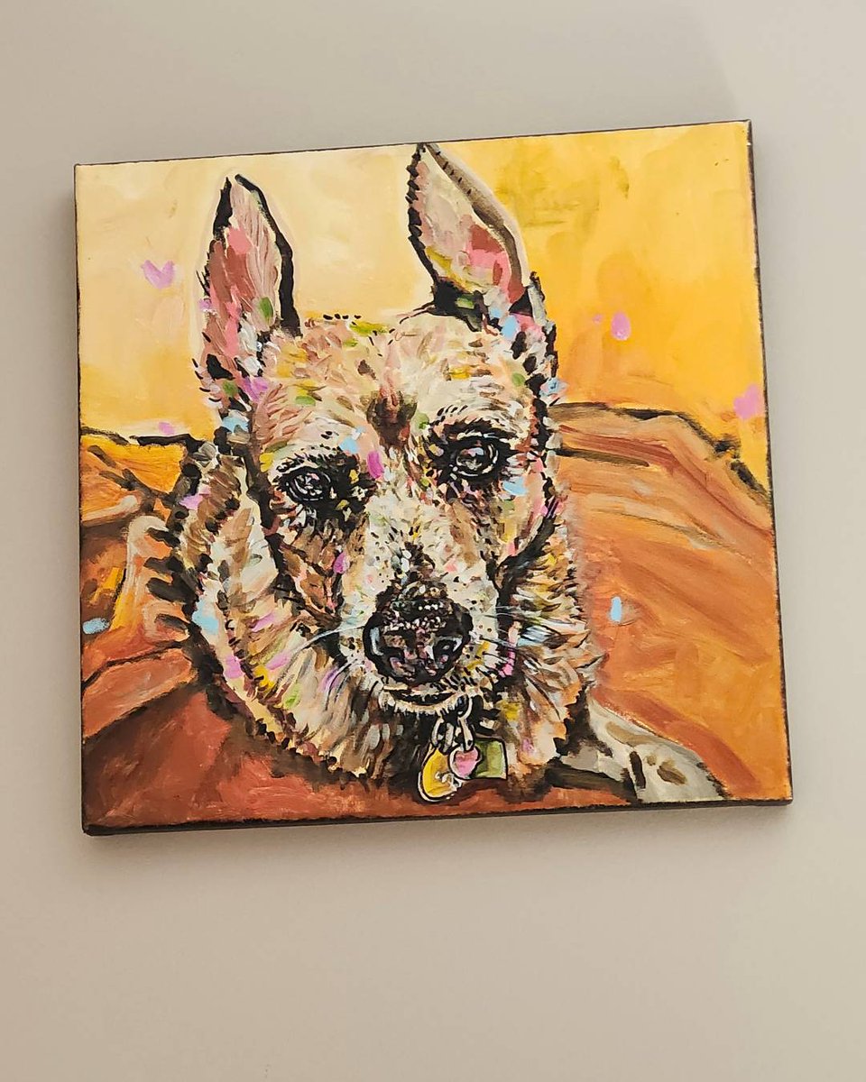 On World Pet Memorial Day, we remember the pets who changed our lives—like Lucy, who brought comfort and joy to Brenda’s days. Their bond lives on in memory, and in the love Brenda now shares by giving back. 💙 Read their story: ontariospca.ca/blog/rememberi…