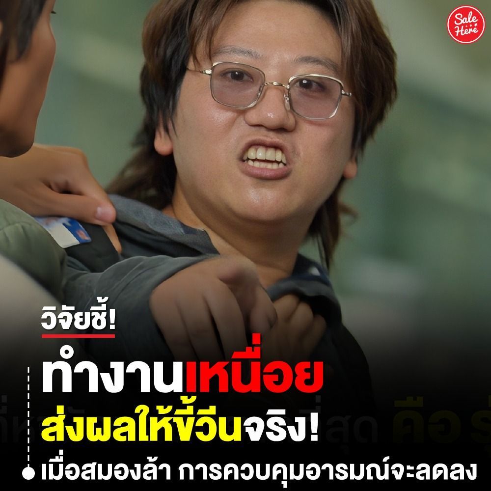 salehere1's tweet photo. 📣 พี่ฟังก่อน พี่!! 🤣 งานวิจัยชี้ #ทำงานเหนื่อยส่งผลให้ขี้วีนจริง 🧑🏻‍💻 เคยไหม ทำงานหนักมาทั้งวัน พอเลิกงานก็เหมือนแบ���หมด เดินทางกลับบ้านทีใจจะขาด รถติด คนเยอะ เสียงดัง ทุกอย่างดูน่ารำคาญไปหมด 🧠
🙇🏻‍♀️ ขอบคุณข้อมูลอ้างอิงจาก : https://t.co/Hqs6z7HOtu 
#SaleHere #เซลเฮียร์ #วิจัยเผย https://t.co/vsHQBuHrg6