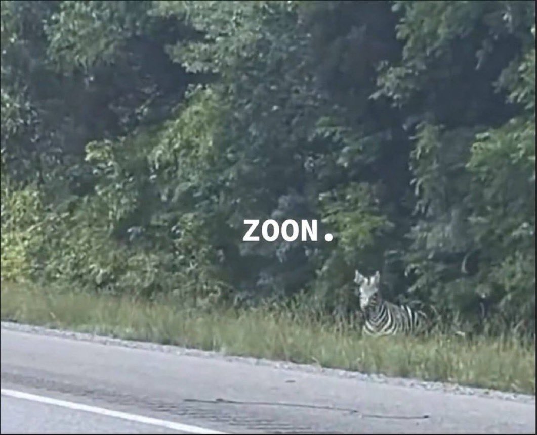 ace (@aceeeeaceaceace) on Twitter photo 