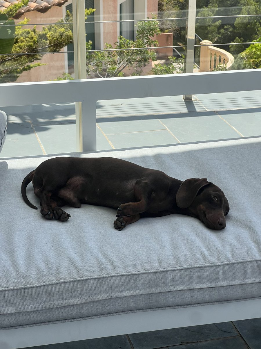 Late GM 🧠 

If you’re not building, you’re chilling. 

Both are valid.