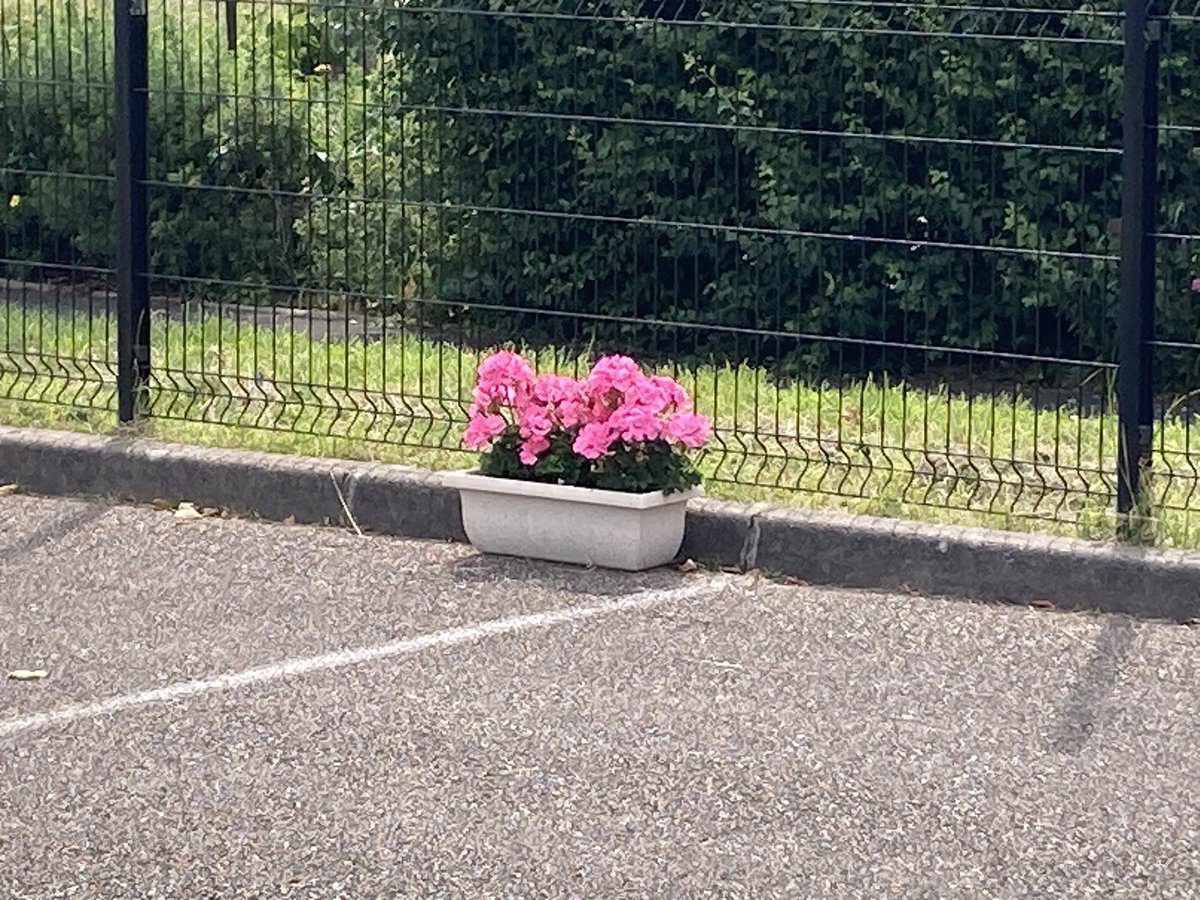 IEN Stenay tweet media