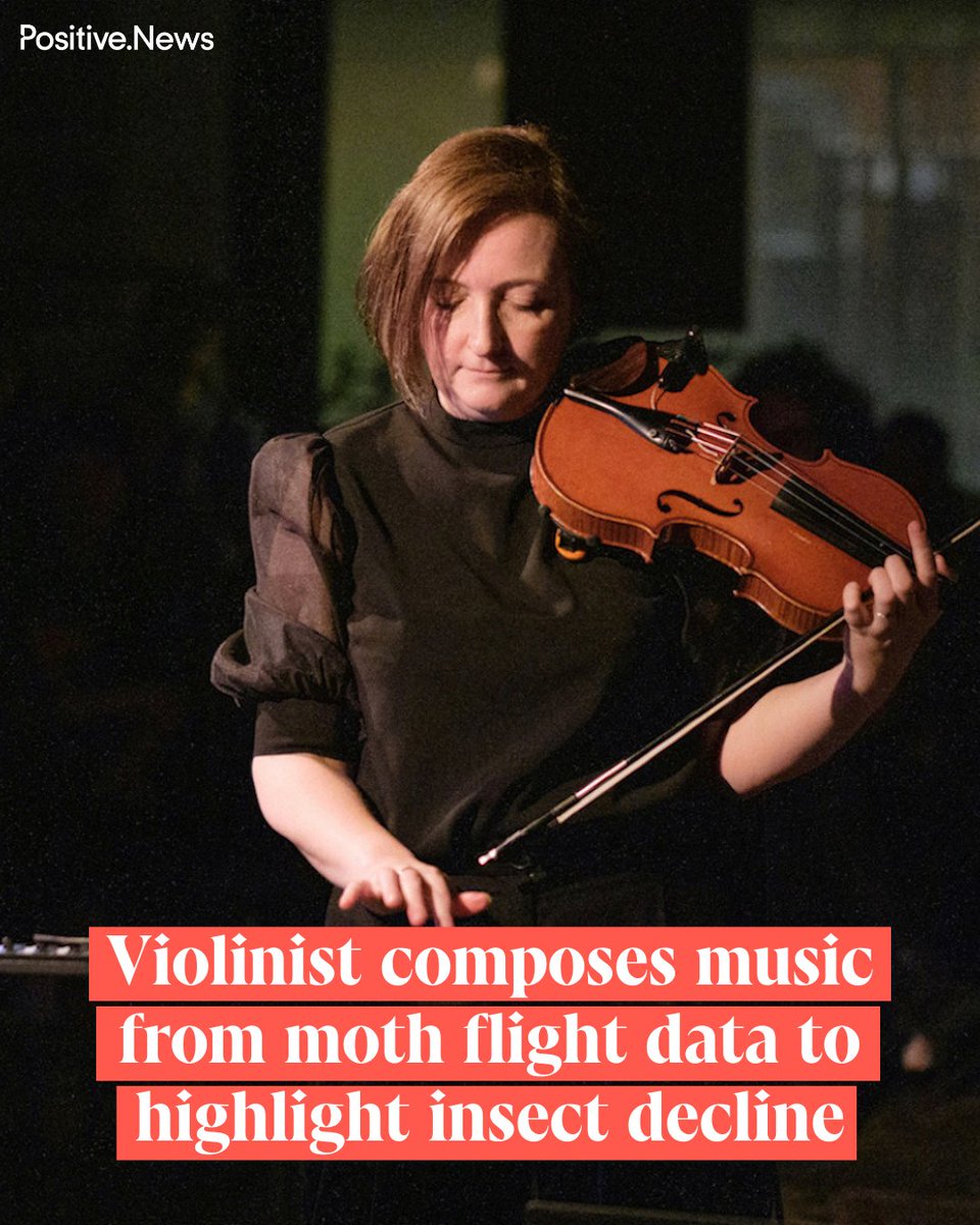 They flutter in the dark – and now, they sing. Ellie Wilson’s ‘Moth X Human’ project uses real moth data to craft a poignant symphony of survival
positive.news/science/violin…