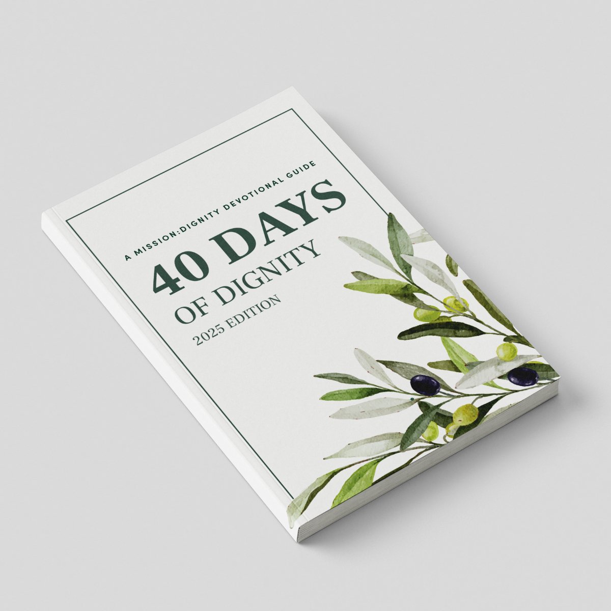 #MissionDignity, a ministry of GuideStone, is at #SBC25 in Dallas. Are you? Visit us at the GuideStone booth today to grab the latest “40 Days of Dignity” devotional book, or click the link below to request a copy! @SBC brnw.ch/21wTisl