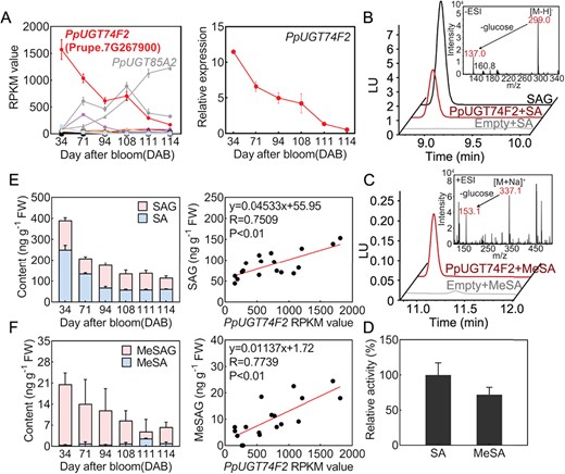 Horticulture Research (@hortres) on Twitter photo PpUGT74F2 reduces fruit immunity by lowering MeSA & PR genes, boosting susceptibility. New mechanism in plant defense! #FruitImmunity #PeachUGT #PlantPathogens <a href="/OxfordJournals/">Oxford Journals</a>
Details: doi.org/10.1093/hr/uha… PpUGT74F2 reduces fruit immunity by lowering MeSA & PR genes, boosting susceptibility. New mechanism in plant defense! #FruitImmunity #PeachUGT #PlantPathogens <a href="/OxfordJournals/">Oxford Journals</a>
Details: doi.org/10.1093/hr/uha…