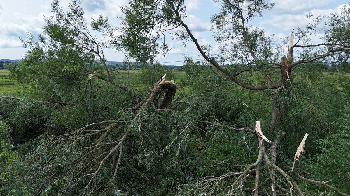 TorroUK's tweet image. torro.org.uk/severe-weather…