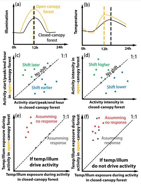 Journal of Animal Ecology (@animalecology) on Twitter photo "Butterflies respond to habitat disturbance in tropical forests through activity shifts" 🦋
Read the paper by <a href="/ShannonXing/">Xing Shuang</a> here: buff.ly/exkbl64 "Butterflies respond to habitat disturbance in tropical forests through activity shifts" 🦋
Read the paper by <a href="/ShannonXing/">Xing Shuang</a> here: buff.ly/exkbl64
