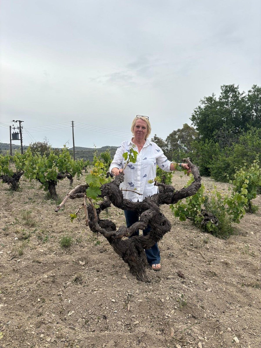 CircleofWineWriters (@circleofwine) on Twitter photo Great article by talented <a href="/CircleofWine/">CircleofWineWriters</a> member <a href="/AnneWiesNL/">Anne-Wies</a> following the press trip to Cyprus. With huge thanks to Elina Christofidou, <a href="/visitcyprus/">VisitCyprus</a> snd Michalis Georgiou for the invitation. Check out the article here anne-wies.nl/cyprus-over-ee… Great article by talented <a href="/CircleofWine/">CircleofWineWriters</a> member <a href="/AnneWiesNL/">Anne-Wies</a> following the press trip to Cyprus. With huge thanks to Elina Christofidou, <a href="/visitcyprus/">VisitCyprus</a> snd Michalis Georgiou for the invitation. Check out the article here anne-wies.nl/cyprus-over-ee…
