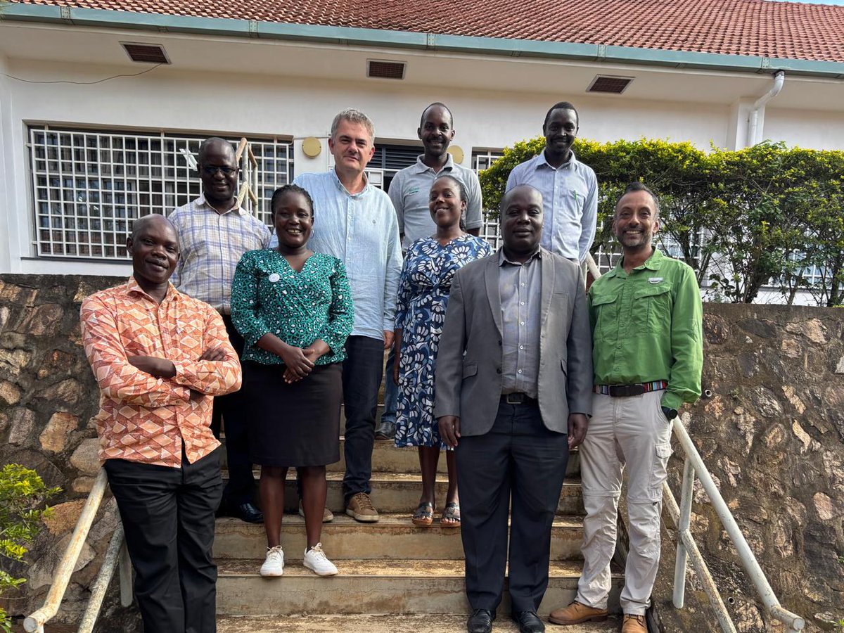 CGIARbreeding's tweet image. 🚀Mid-year review of #AcceleratedBreeding Scaling Breeding Operations (SBO) grant to @narouganda
✅ 600+ farmers surveyed on cassava & matooke needs
✅ Founder lines defined
✅ Maize germplasm sent for MLN screening & DH induction
✅On-farm trials scaling up with @1000farms