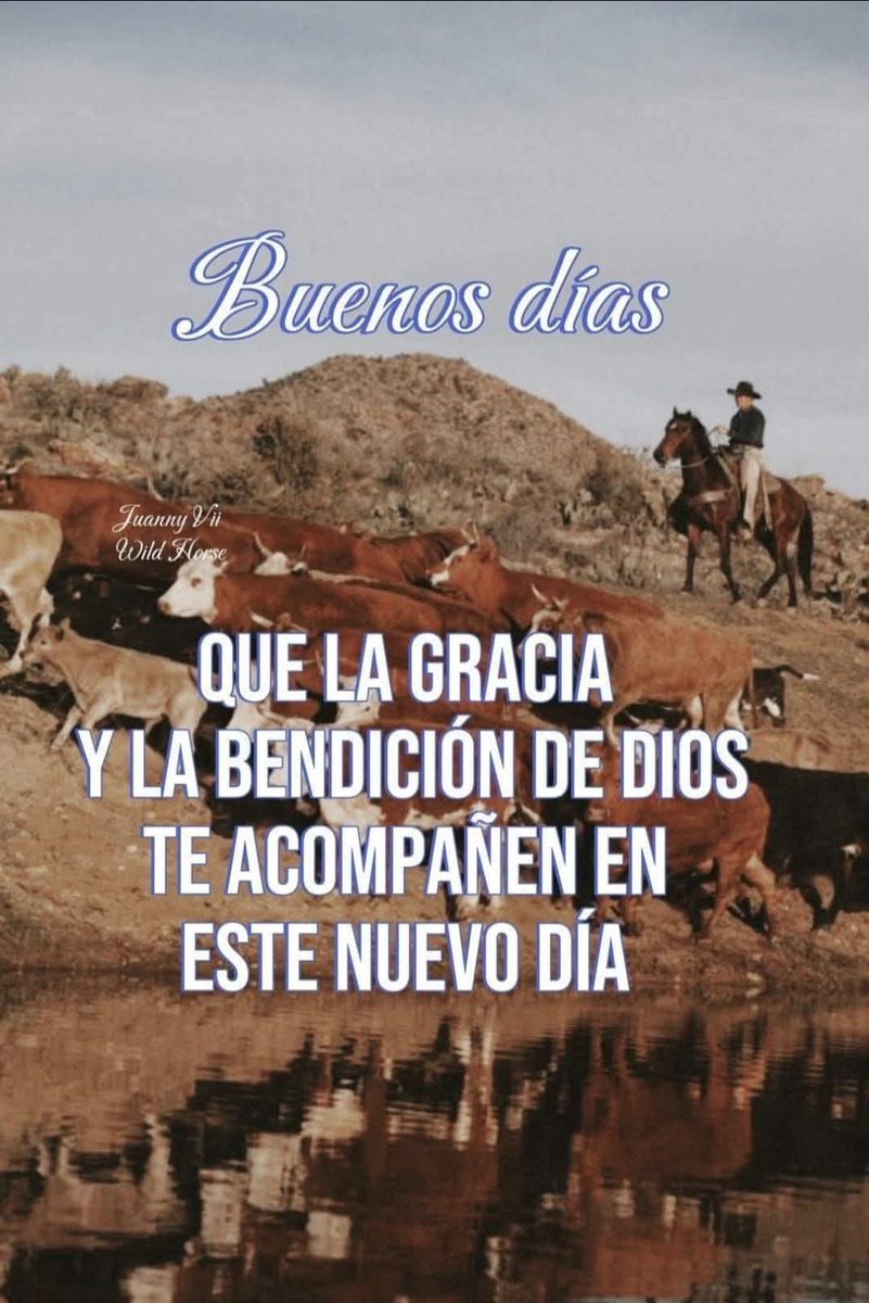 Grupo Palomo Oficial (@grupopalomo) on Twitter photo 