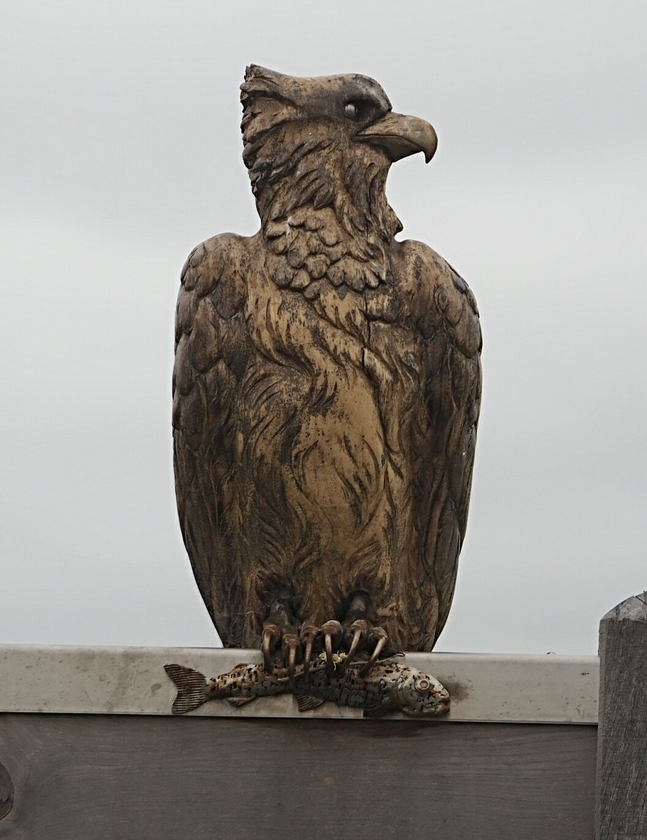 colin gittins tweet media