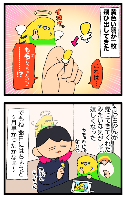 ふと数年前に旅立った鳥さんの羽が出てきて、里帰りしてくれたような気がしたのじゃ(なお一カ月フライング)
2107 #えるポピの絵日記かくところ