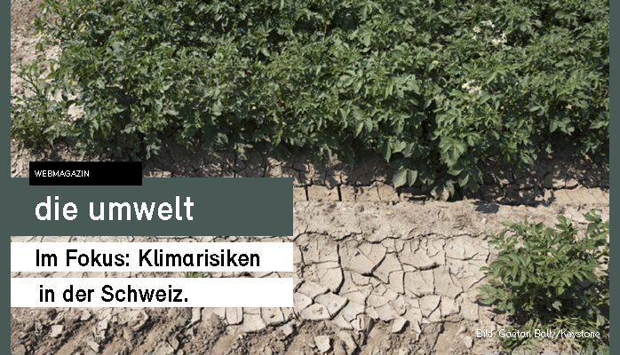 🔥 Hitzewellen werden häufiger &amp; intensiver – und belasten die Gesundheit, Landwirtschaft &amp; Infrastruktur.
Besonders gefährdet: ältere &amp; verletzliche Menschen.
 💧 Auch Trockenheit &amp; Wassermangel nehmen zu.
Die Schweiz muss sich anpassen. #Klimaanpassung
dieumwelt.ch/artikel/klimar…