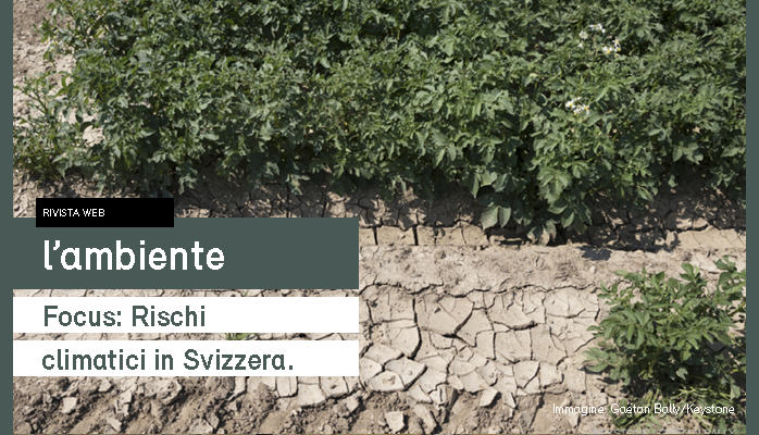 🔥 Ondate di calore più frequenti e intense, con effetti negativi sulla salute, l’agricoltura e le infrastrutture. Più a rischio le persone anziane e vulnerabili. In aumento anche la siccità e la carenza idrica. La Svizzera deve adattarsi ora. #Clima

lambiente.ch/articolo/risch…