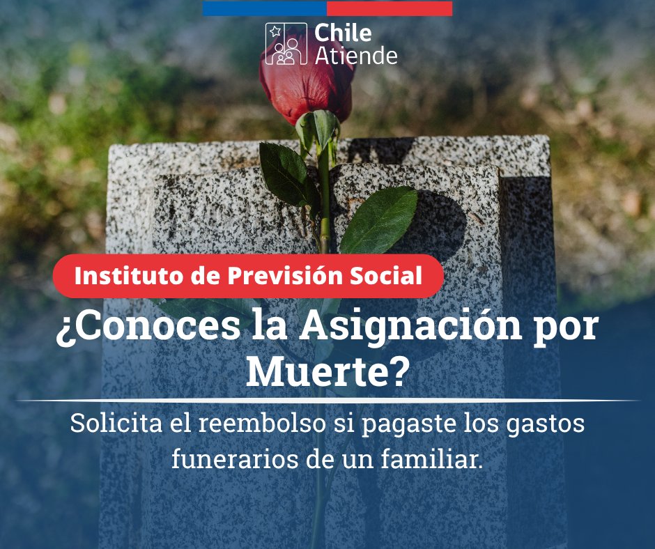 ¿Perdiste a un ser querido y pagaste los gastos de su funeral? 😔

La Asignación por Muerte te entrega un monto máximo de $987.453 si cumples los requisitos 👉 tinyurl.com/kte3hhfd

Solicítala con tu ClaveÚnica 🔐