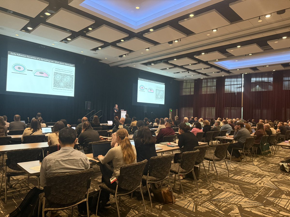 ISHAS_org's tweet image. Captive audience for Jennifer Curtis talking about ligand matrix interactions and the role of Hyal2 in remodeling HA matrices