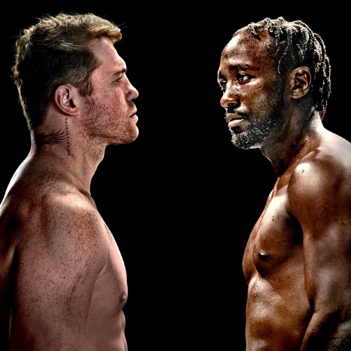 Netflix will be streaming Canelo Alvarez vs. Terence Crawford live on September 13.